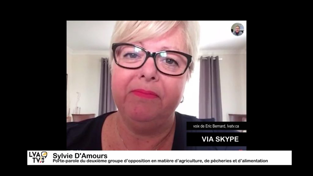 Sylvie D'Amours via Skype