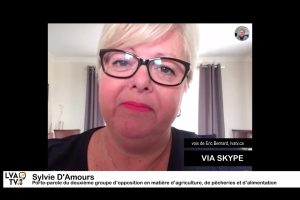 Sylvie D'Amours via Skype