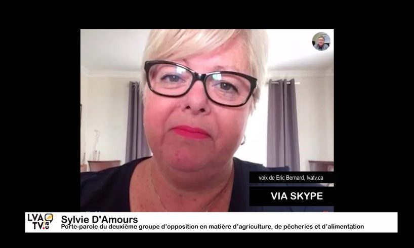 Sylvie D'Amours via Skype