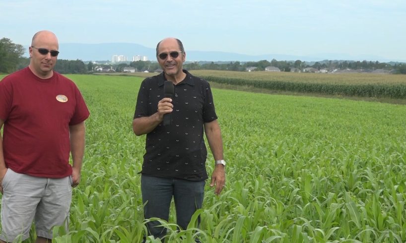 Gaétan Poulin, ferme Luga, et Guy Forand, Belisle nutrition animal